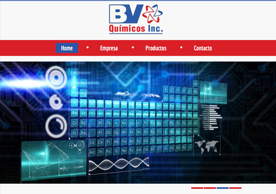 Página Web desarrollada para BV Quimicos.